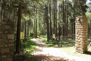 lugares para hacer camping salvaje - logo de Acampada regulada para grupos Los Negros