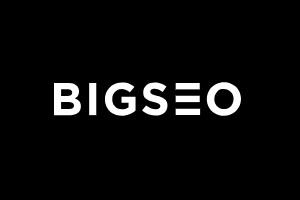 BigSEO, logo