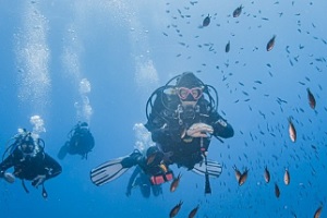 logo de Buceo en Islas Medas con Diving La Sirena