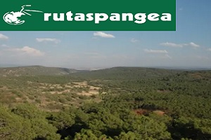 rutas en bicicleta - logo de Camino del Cid (Rutas Pangea)
