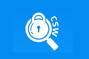 logo de Ciberseguridad Web