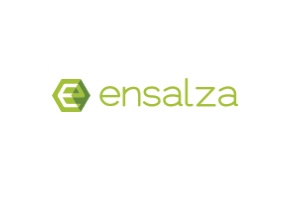 empresas de desarrollo web Ensalza