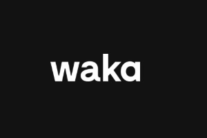 agencias de branding - logo de Estudio Branding waka