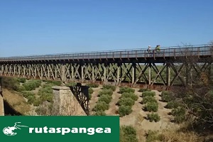 logo de La Vía Verde del Aceite (Rutas Pangea)