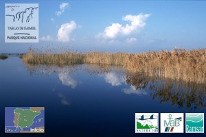 logo de Parque Nacional de las Tablas de Daimiel