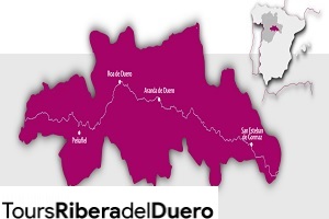 imagen de Ruta del Vino Ribera del Duero