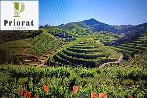 rutas de vino en España - logo de Ruta del vino DOC Priorat DO Montsant