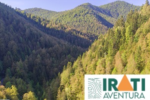 logo de Selva de Irati (Irati Aventura)