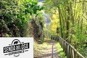 logo de Senda del Oso (TeverAstur, Senda del Oso Experience)