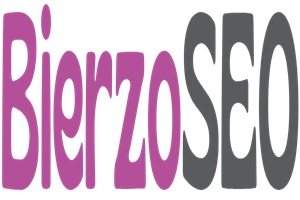 BierzoSEO agencias de diseño web
