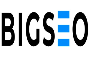 Bigseo agencias de contenido digital