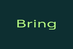 Bring Connections expertos en publicidad PPC