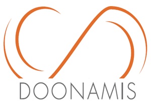 Doonamis agencias de desarrollo de software