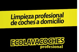 Ecolavacoches Profesional lavaderos de coches a domicilio