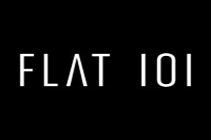 FLAT 101 empresas de auditoría SEO