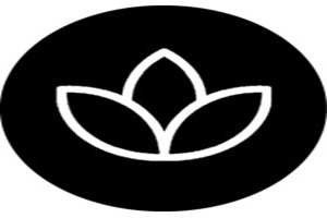Lotus Estudi