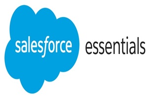 Salesforce Essentials