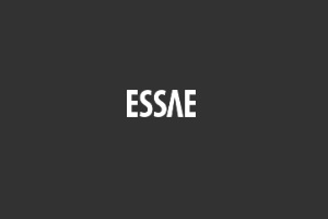 Uno de los mejores cursos presenciales para estudiar en España es ESSAE Formación, logo