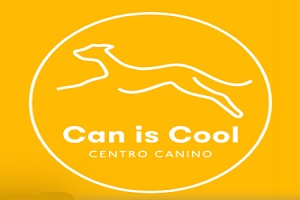 Can is Cool, logo