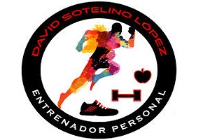 David Sotelino, logo