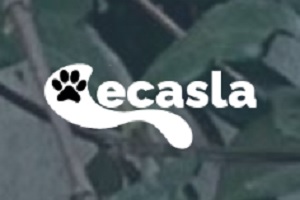 Decasla, logo