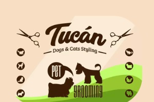 Tucán Palma, logo