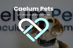 Caelum Pets