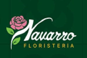 Flores Navarro