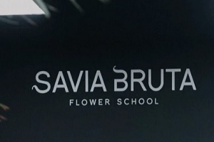 Savia Bruta