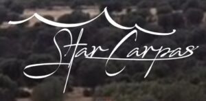 star-carpas